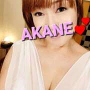 ヒメ日記 2025/05/02 00:03 投稿 あかね あとりえ(ATELIER)