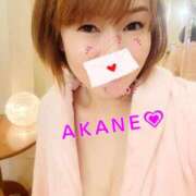 ヒメ日記 2025/05/16 00:02 投稿 あかね あとりえ(ATELIER)