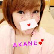 ヒメ日記 2025/05/19 00:01 投稿 あかね あとりえ(ATELIER)