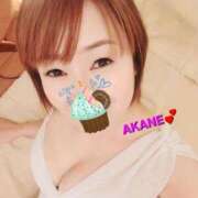 ヒメ日記 2025/05/28 00:00 投稿 あかね あとりえ(ATELIER)