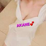 ヒメ日記 2025/06/11 23:26 投稿 あかね あとりえ(ATELIER)