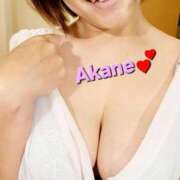 ヒメ日記 2025/07/09 08:41 投稿 あかね あとりえ(ATELIER)