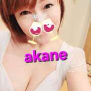 ヒメ日記 2025/07/14 07:11 投稿 あかね あとりえ(ATELIER)