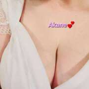 ヒメ日記 2025/07/28 08:50 投稿 あかね あとりえ(ATELIER)