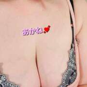 ヒメ日記 2025/08/01 08:46 投稿 あかね あとりえ(ATELIER)