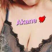 ヒメ日記 2025/08/31 07:43 投稿 あかね あとりえ(ATELIER)