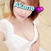 ヒメ日記 2025/09/03 08:54 投稿 あかね あとりえ(ATELIER)