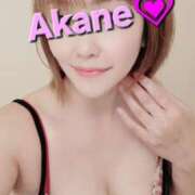 ヒメ日記 2025/09/06 10:30 投稿 あかね あとりえ(ATELIER)