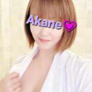 ヒメ日記 2025/09/09 13:01 投稿 あかね あとりえ(ATELIER)