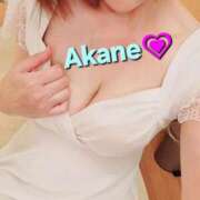 ヒメ日記 2025/09/14 08:30 投稿 あかね あとりえ(ATELIER)