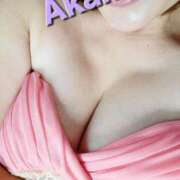 ヒメ日記 2025/09/26 09:22 投稿 あかね あとりえ(ATELIER)