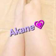 ヒメ日記 2025/09/29 14:32 投稿 あかね あとりえ(ATELIER)