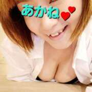 ヒメ日記 2025/10/03 09:02 投稿 あかね あとりえ(ATELIER)