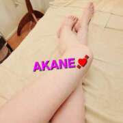 ヒメ日記 2025/10/07 00:42 投稿 あかね あとりえ(ATELIER)