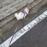 ヒメ日記 2025/11/05 08:48 投稿 あかね あとりえ(ATELIER)