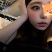 ヒメ日記 2025/09/27 11:02 投稿 西園寺まりか 大人めシンデレラ 新横浜店（シンデレラグループ）