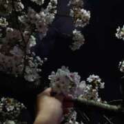 ヒメ日記 2025/04/18 18:36 投稿 そら 千葉柏ちゃんこ