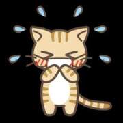 ヒメ日記 2025/05/16 23:52 投稿 そら 千葉柏ちゃんこ