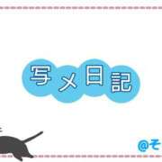 ヒメ日記 2025/05/28 10:00 投稿 そら 千葉柏ちゃんこ