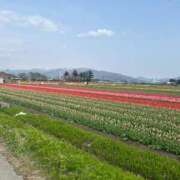 ヒメ日記 2025/04/24 13:56 投稿 かのん 新潟デリヘル倶楽部