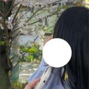 ヒメ日記 2025/03/25 11:50 投稿 まゆ 即トク奥さん