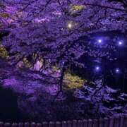 ヒメ日記 2025/04/07 06:50 投稿 まゆ 即トク奥さん