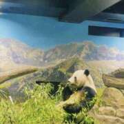 ヒメ日記 2025/08/05 19:35 投稿 はる〔VIP〕対応 aQua～アクア～（金津園）