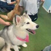 ヒメ日記 2025/08/25 22:45 投稿 はる〔VIP〕対応 aQua～アクア～（金津園）