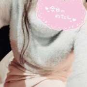 ヒメ日記 2025/05/11 12:12 投稿 あいな One More奥様　八王子店