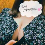 ヒメ日記 2026/10/11 19:17 投稿 あきほ 沼津人妻花壇