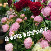 ヒメ日記 2025/06/16 01:56 投稿 水瀬ゆりる 麗しいマダム