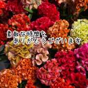 ヒメ日記 2025/10/19 19:54 投稿 水瀬ゆりる 麗しいマダム