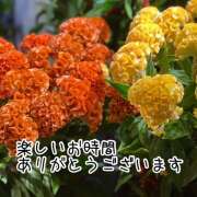 水瀬ゆりる 明日は鶯谷 麗しいマダム