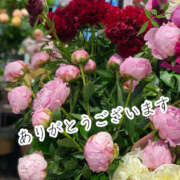 ヒメ日記 2025/06/16 02:02 投稿 水瀬ゆりる 美魔女エステ