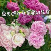ヒメ日記 2026/07/13 23:45 投稿 水瀬ゆりる 美魔女エステ