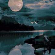 ヒメ日記 2025/04/01 07:17 投稿 つばき 吉原ファーストレディ