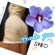 ヒメ日記 2025/04/08 18:16 投稿 つばき 吉原ファーストレディ