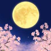 ヒメ日記 2025/04/09 18:15 投稿 つばき 吉原ファーストレディ