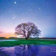 ヒメ日記 2025/04/12 18:18 投稿 つばき 吉原ファーストレディ