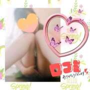 ヒメ日記 2025/04/18 20:06 投稿 つばき 吉原ファーストレディ