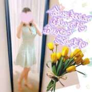 ヒメ日記 2025/04/19 07:17 投稿 つばき 吉原ファーストレディ