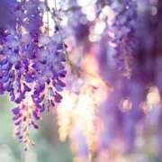 ヒメ日記 2025/04/22 12:16 投稿 つばき 吉原ファーストレディ