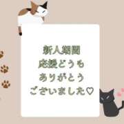 ヒメ日記 2025/04/24 12:21 投稿 つばき 吉原ファーストレディ