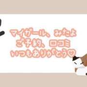 ヒメ日記 2025/04/30 07:16 投稿 つばき 吉原ファーストレディ