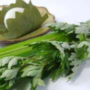 ヒメ日記 2025/05/02 07:07 投稿 つばき 吉原ファーストレディ