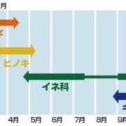 ヒメ日記 2025/05/04 07:09 投稿 つばき 吉原ファーストレディ