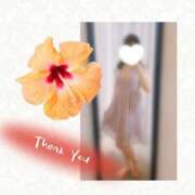 ヒメ日記 2025/05/27 12:19 投稿 つばき 吉原ファーストレディ