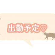 ヒメ日記 2025/06/02 20:16 投稿 つばき 吉原ファーストレディ