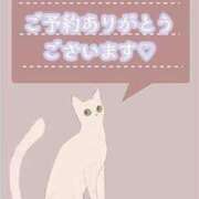 ヒメ日記 2025/06/05 12:16 投稿 つばき 吉原ファーストレディ