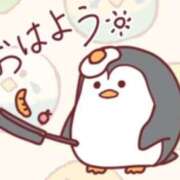 ヒメ日記 2025/06/07 07:17 投稿 つばき 吉原ファーストレディ